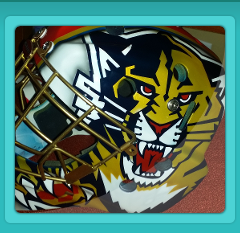 Panthers style hockey mask 